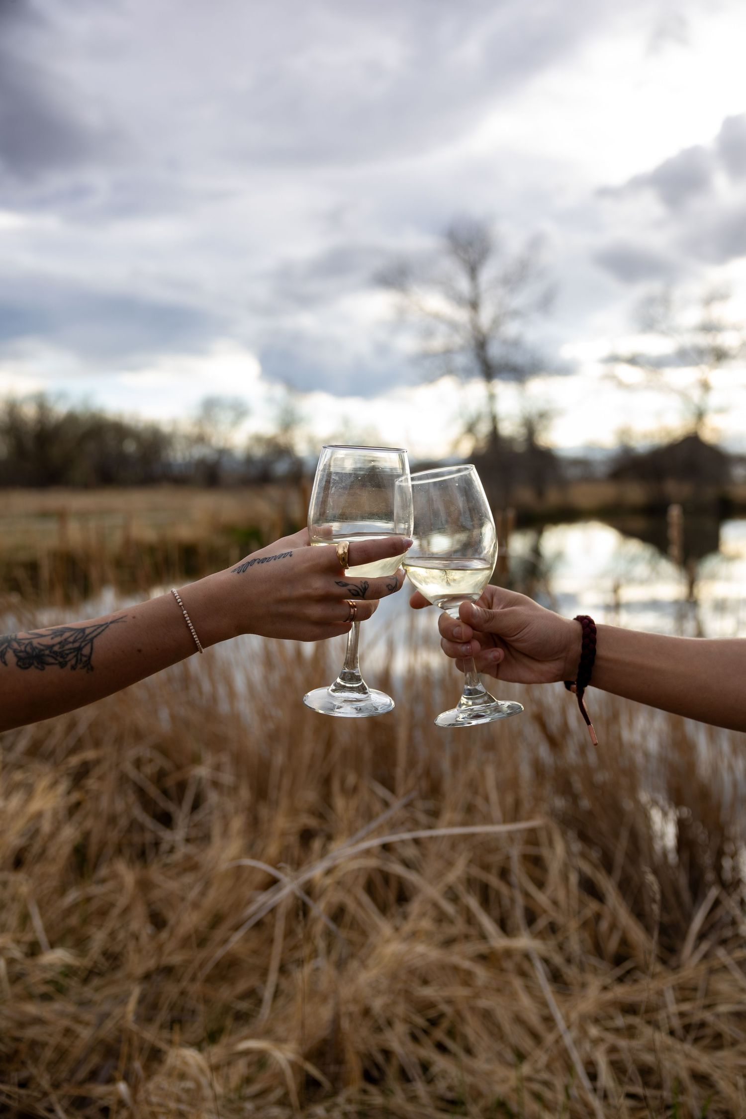 Two people toasting wine glasses outdoors near a lake with tall grass.
