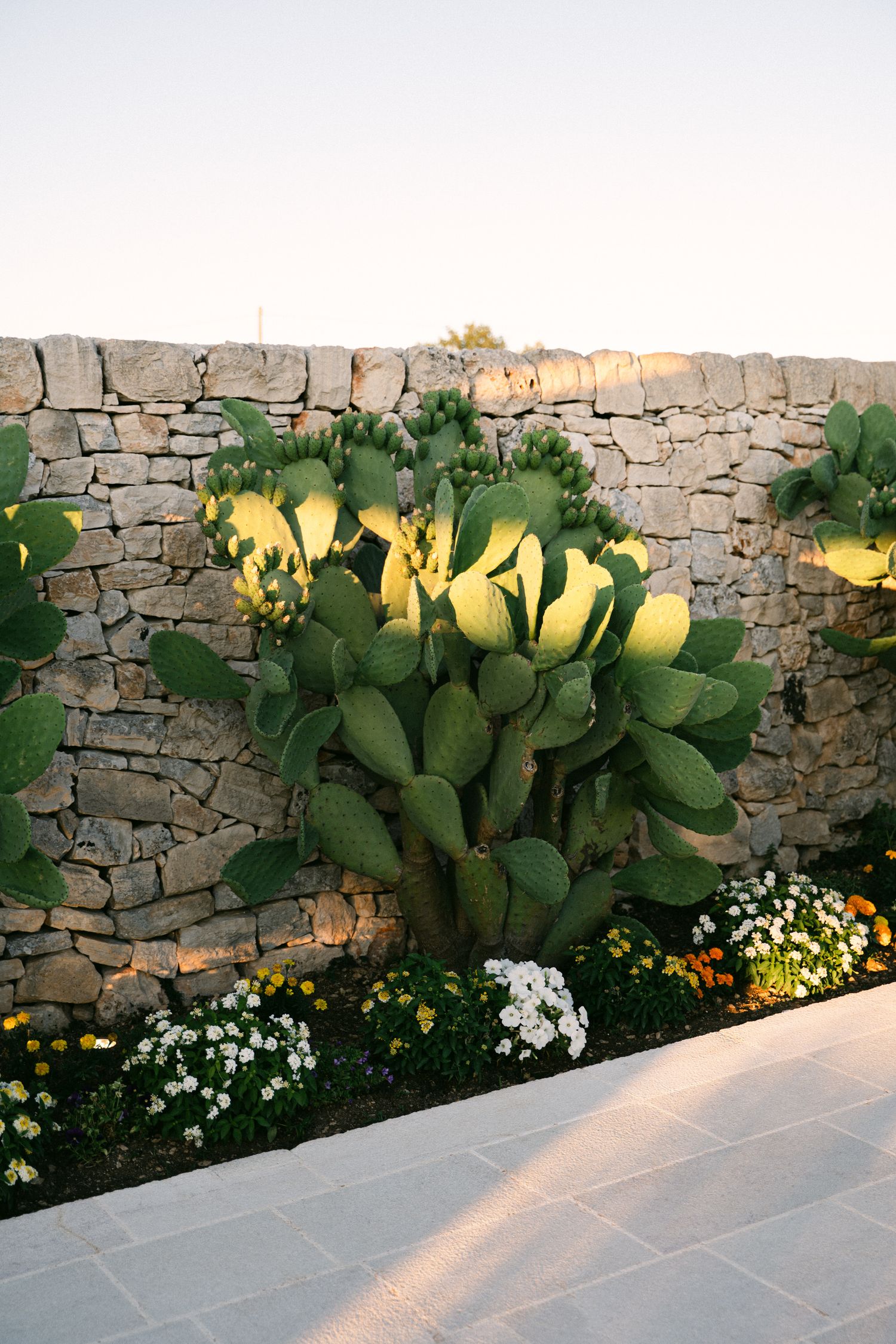 Destination wedding photography in Alberobello, Puglia, captured in digital with a clean and elegant visual style.