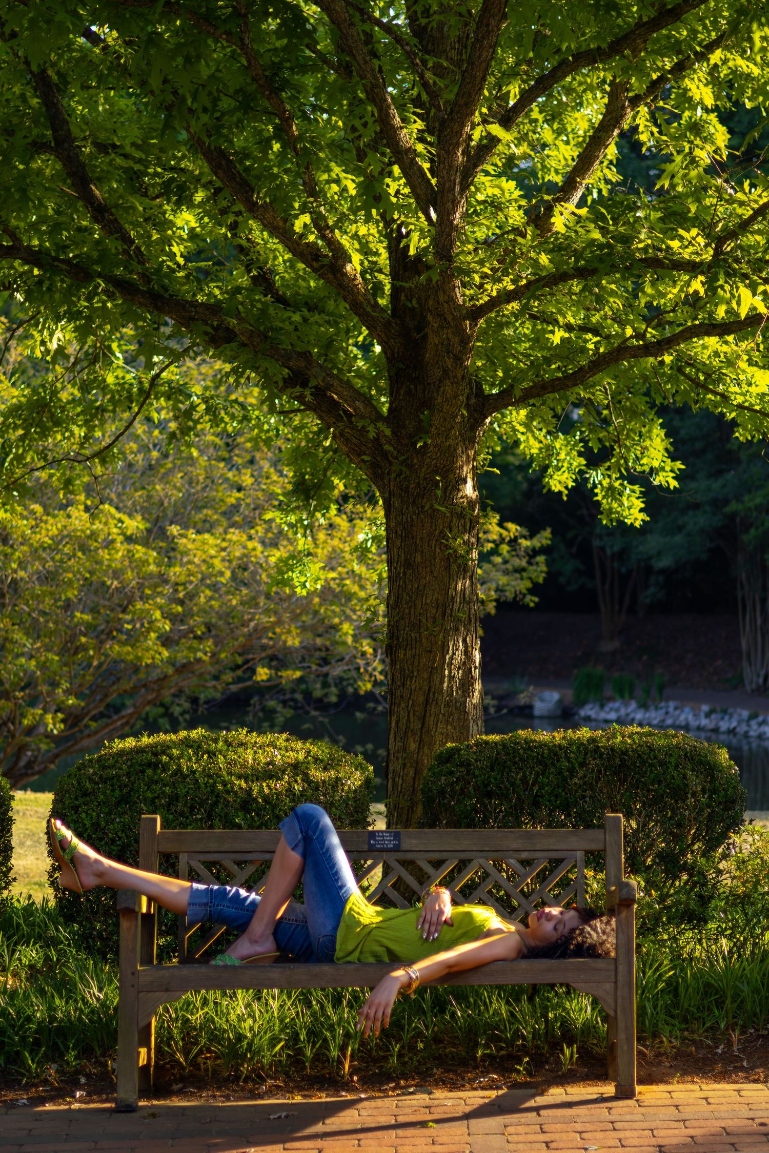 Person relaxing on a wooden park bench under a large green tree on a sunny day.