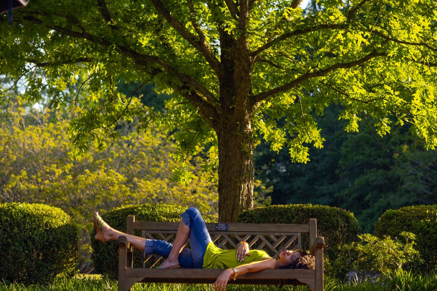 Person relaxing on a wooden bench under a large green tree in a sunny park garden.