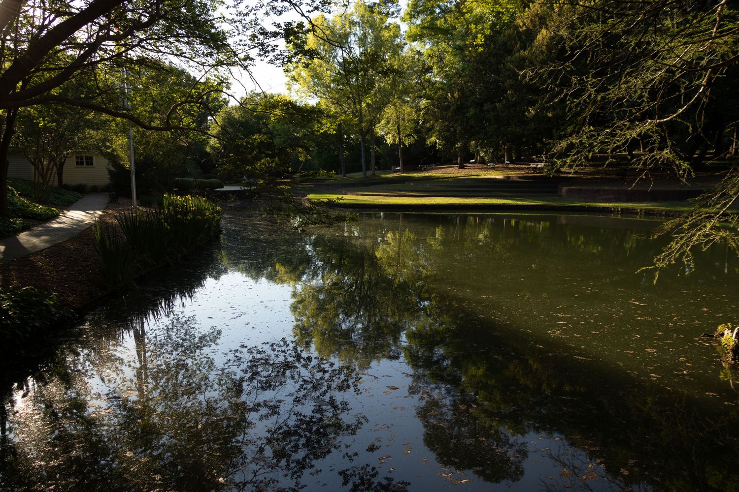 Serene park pond reflecting lush green trees on calm water surface in a tranquil outdoor setting.