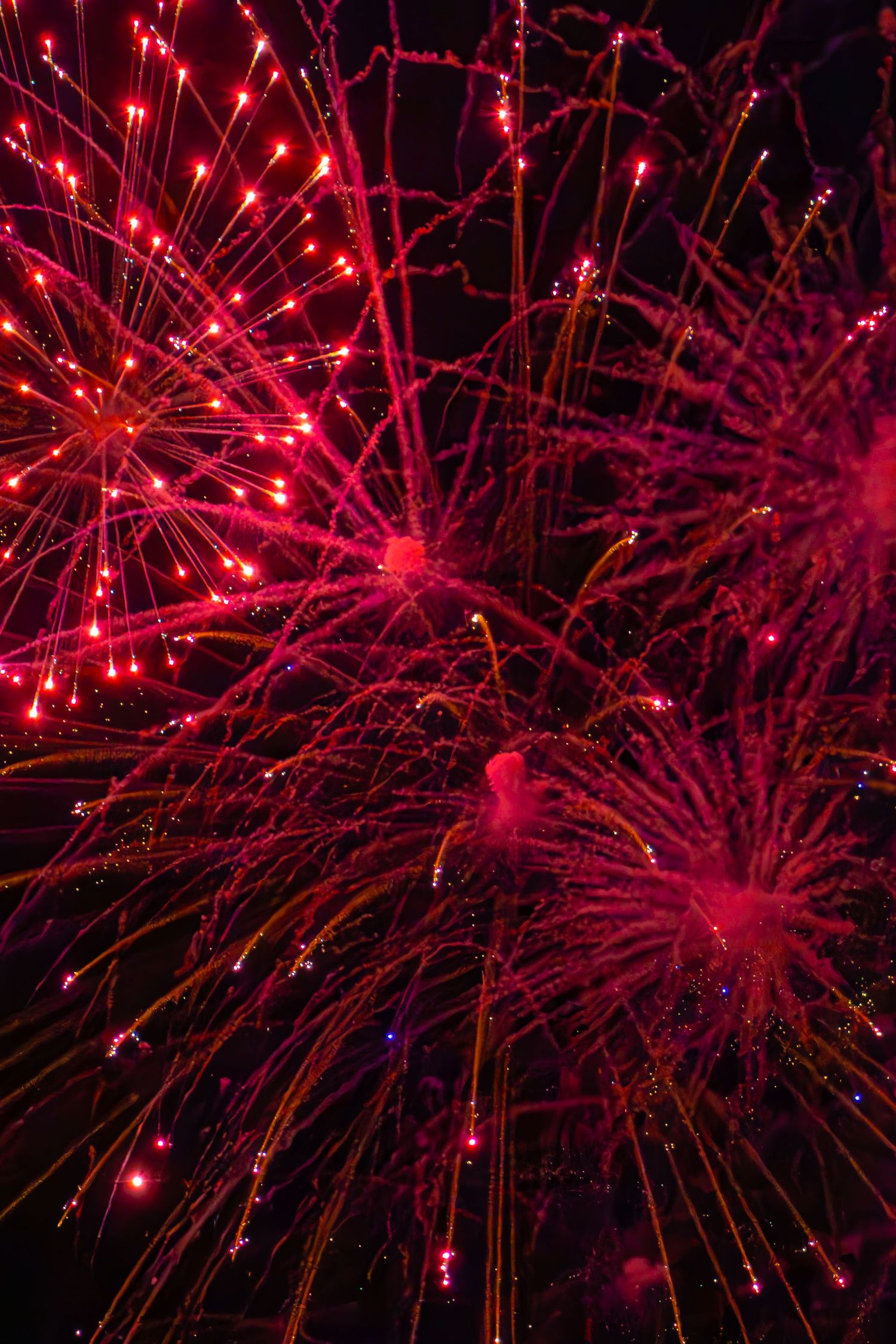 Vibrant red fireworks exploding against a dark night sky, creating a stunning display of colorful sparks and trails.
