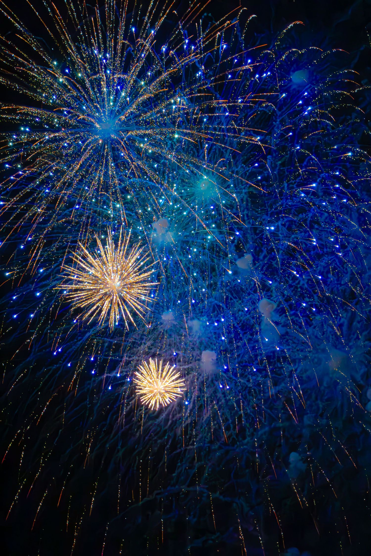 Vibrant blue and gold fireworks exploding against a dark night sky in a dazzling celebration display.