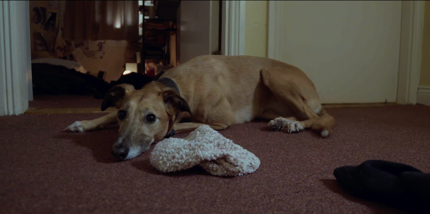 still from 'You and I' Short Film. Hubert Piorun was Director of Photography