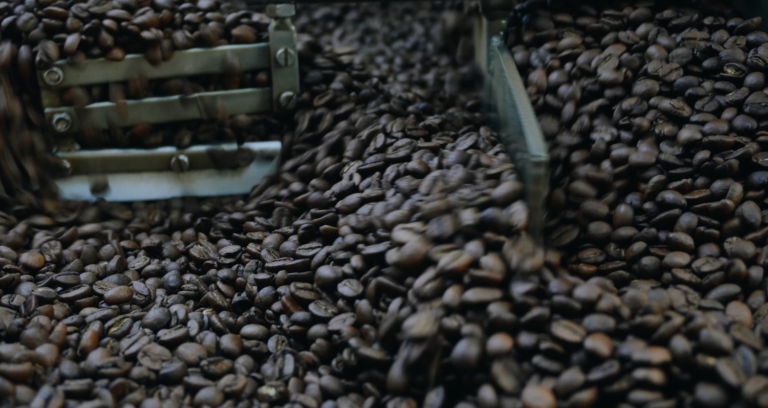 still from 'The Old BarracksI' Short Doc. Hubert Piorun was Director of Photography