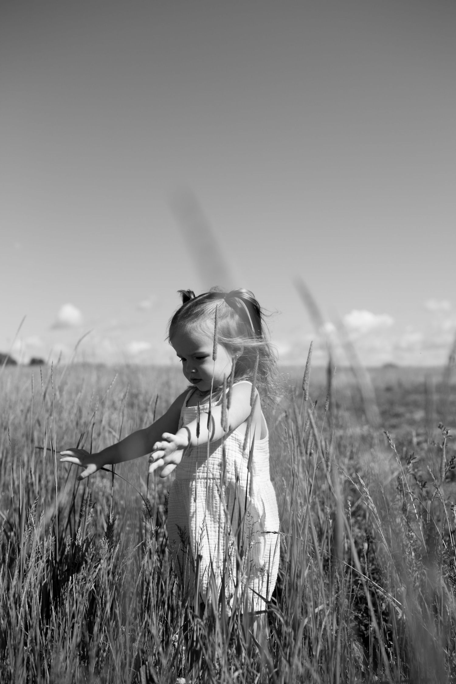 Black and white photo of a young girl in a dress reaching out to touch tall grass in an open field.  Family Photography.