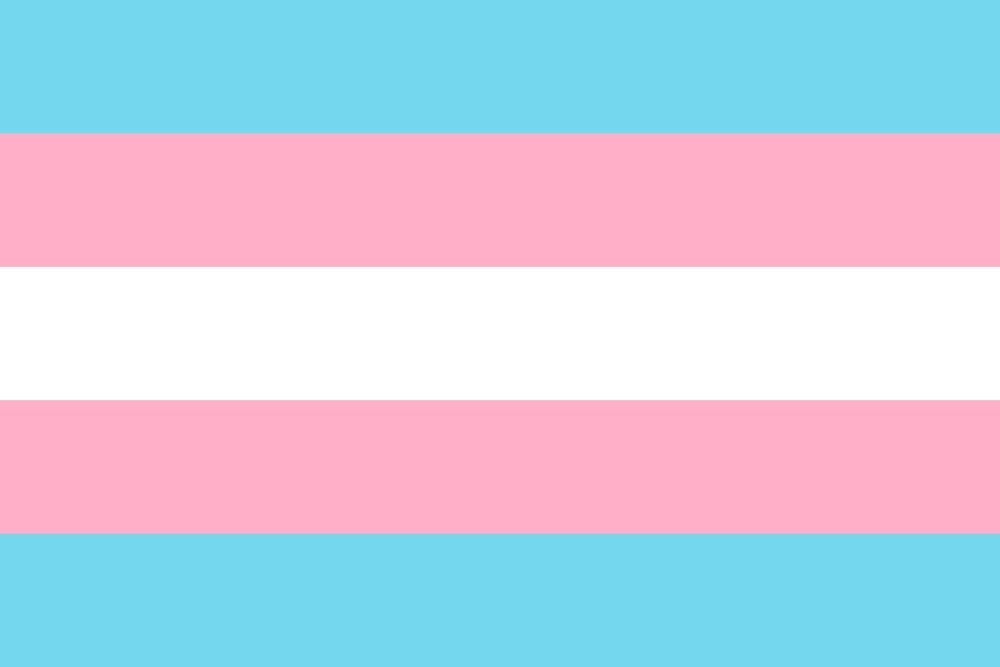 Transgender pride flag with light blue, pink, and white horizontal stripes symbolizing trans identity and visibility.