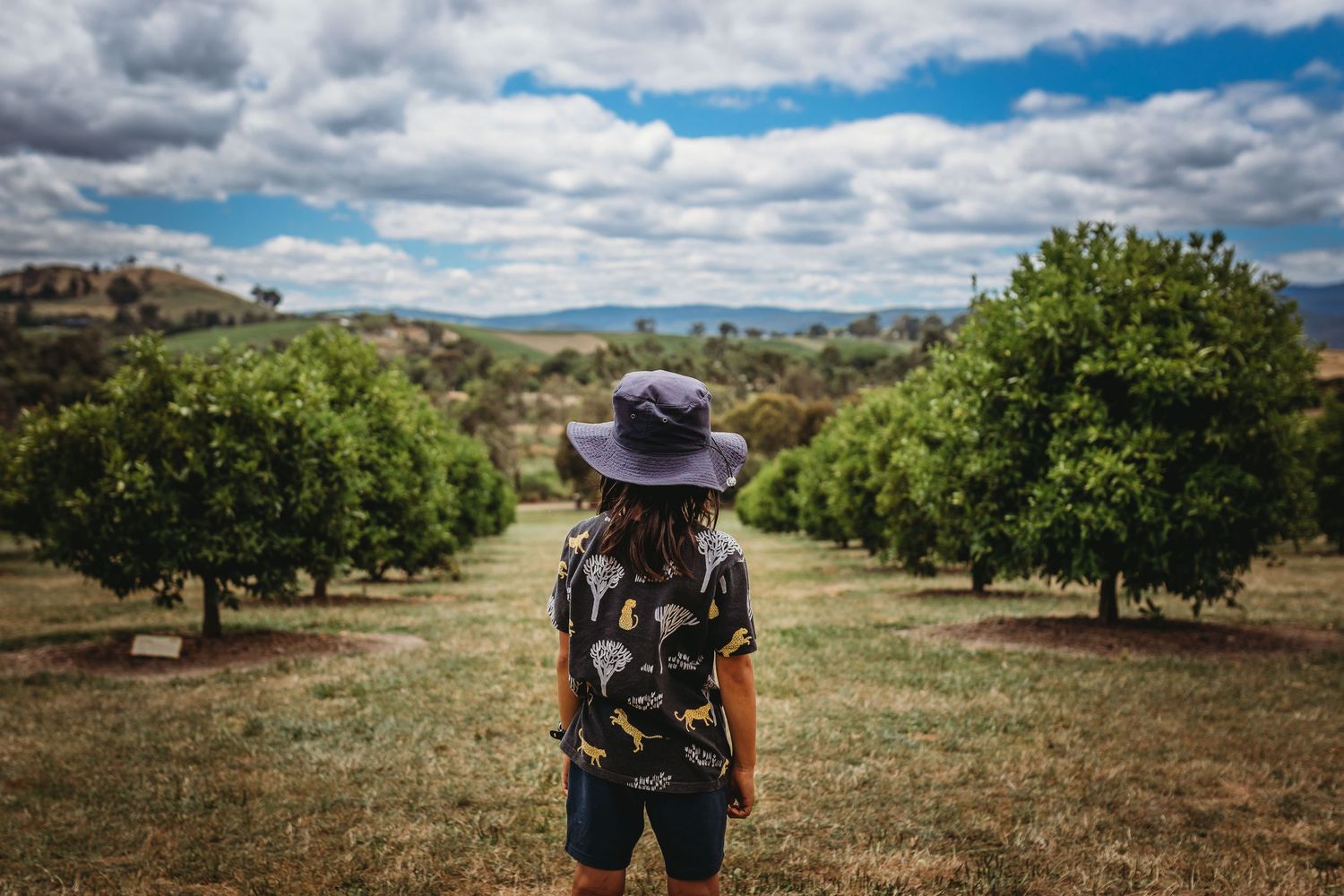 Person in hat and floral shirt standing in an orchard with green trees and cloudy sky in rural Australia.