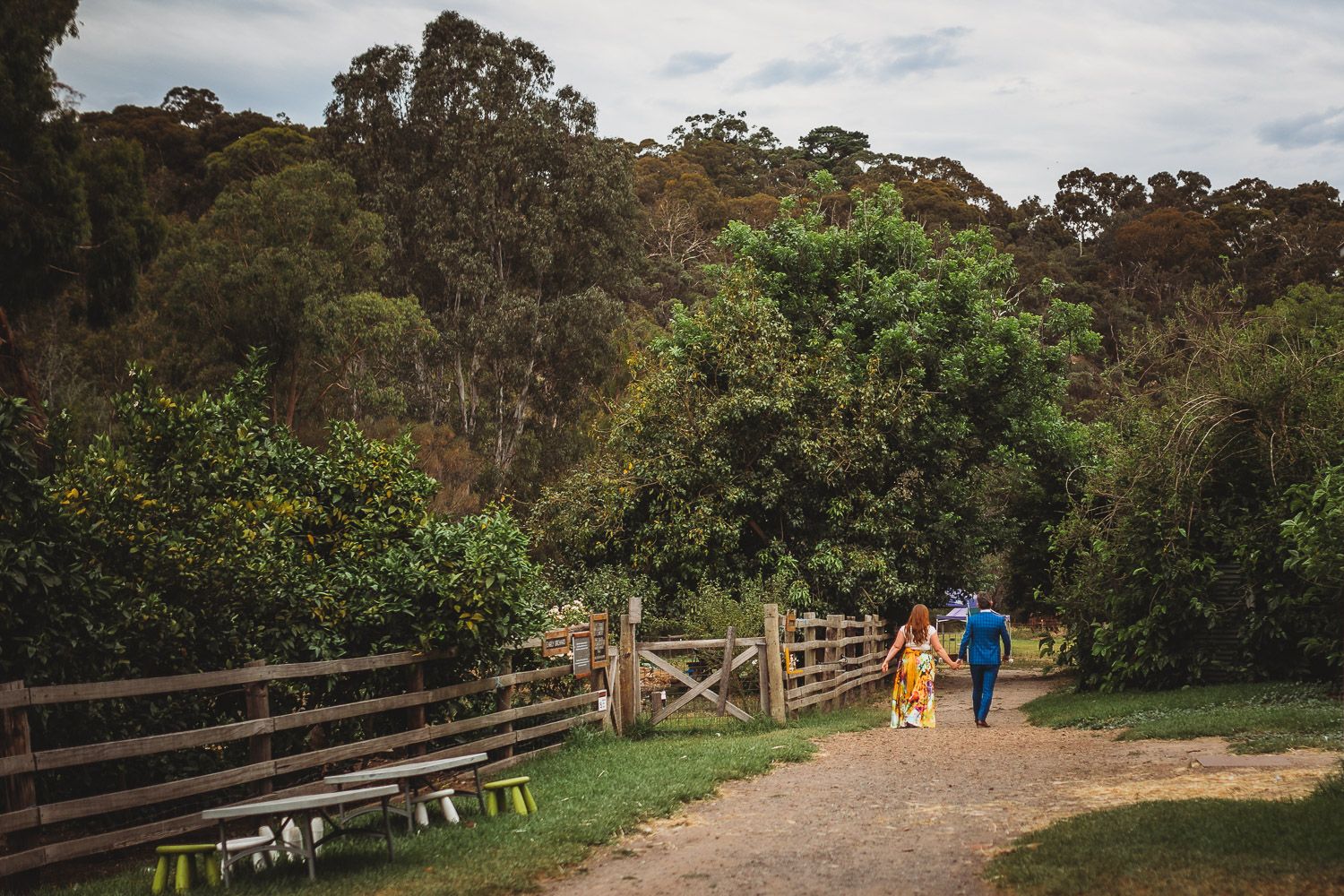 Couple walks hand in hand along a scenic garden path surrounded by lush green trees and wooden fencing.