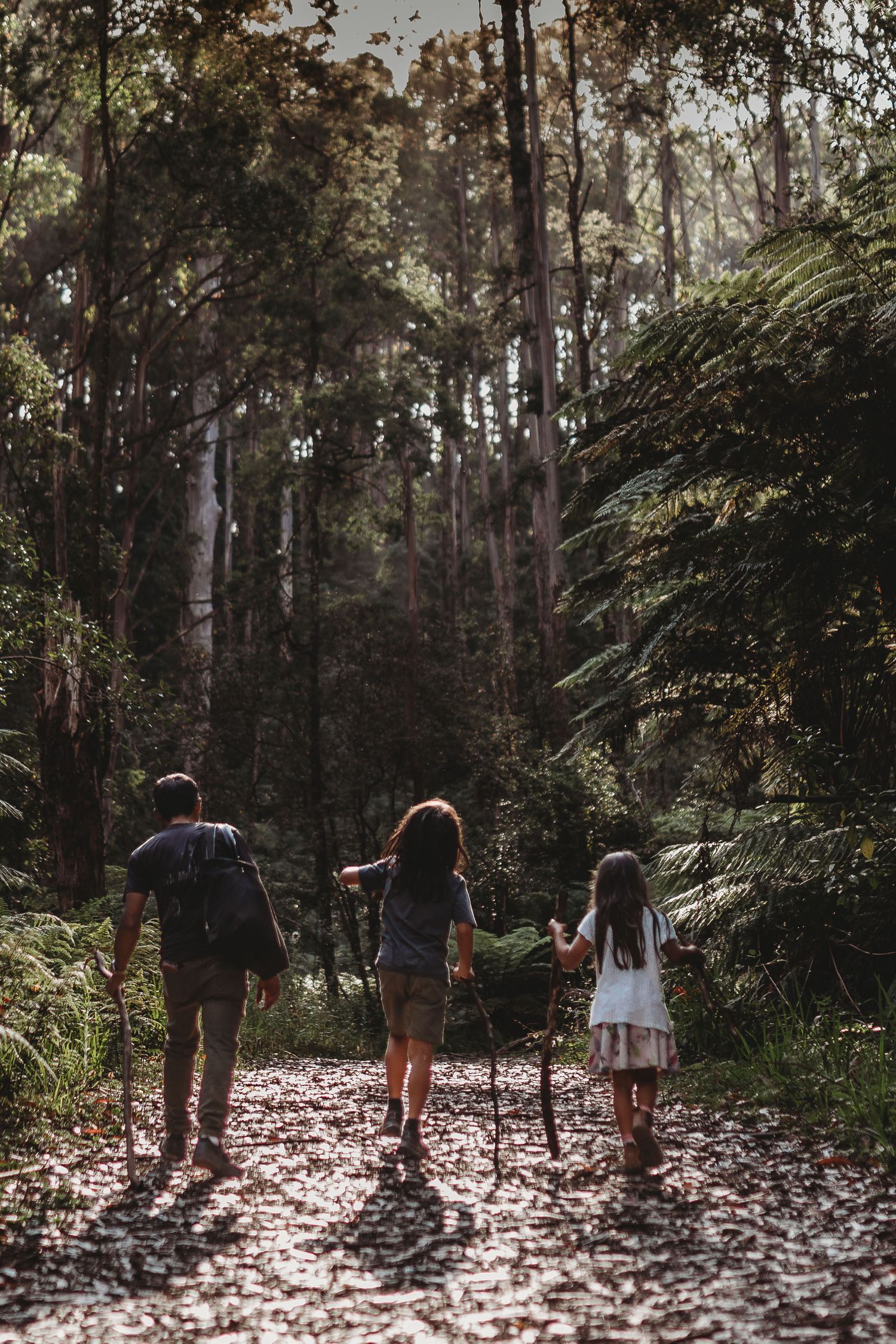 Father and two children hiking on a forest trail surrounded by tall trees and ferns.
