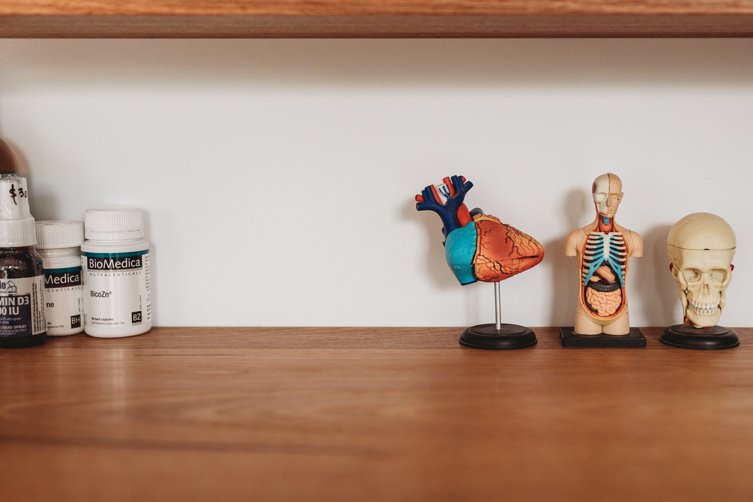 Anatomical heart, body, and skull models displayed on a wooden shelf beside supplement bottles.