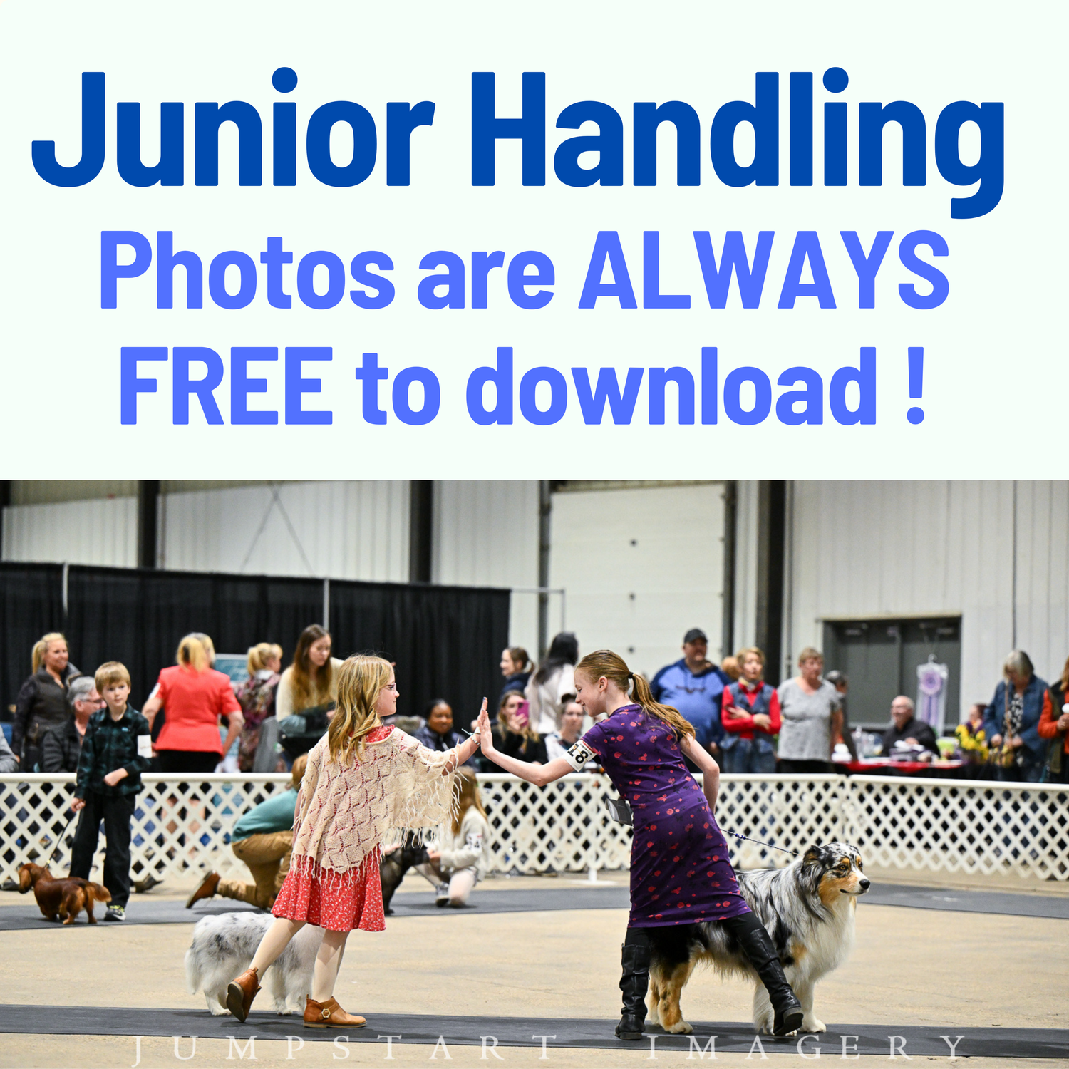 Junior Handling