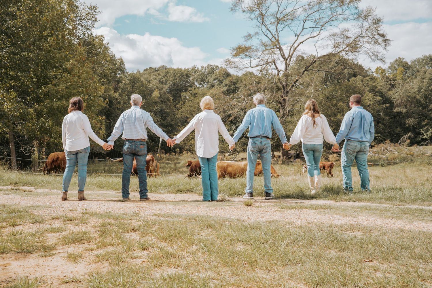 Six people holding hands in a row on a rural farm path with cattle grazing in a green pasture background.