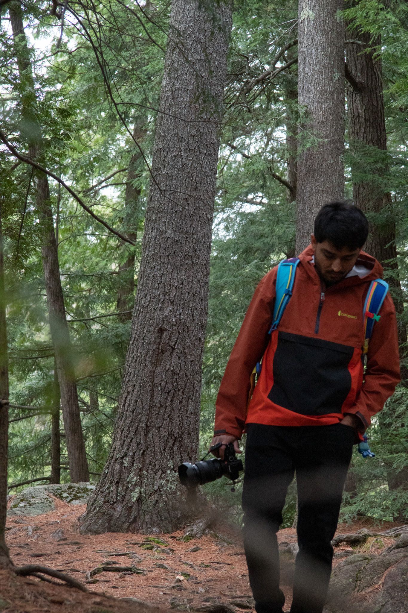 A hiker in an orange Cotopaxi jacket carries a camera through a lush forest trail with tall trees.