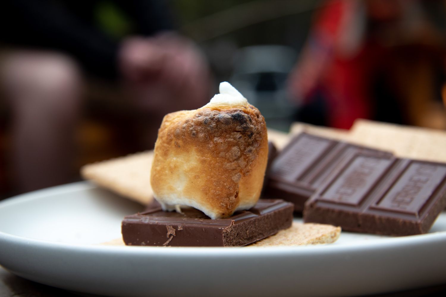 Toasted marshmallow s'more with chocolate bars and graham crackers on a white plate.
