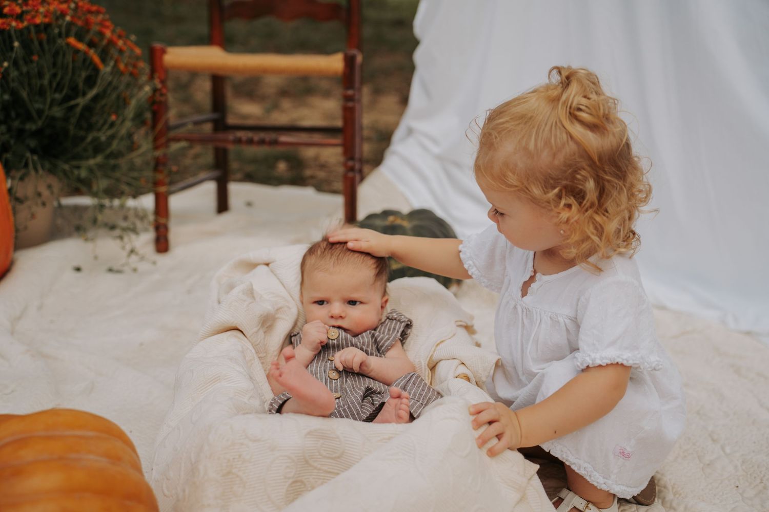 Toddler girl with curly hair gently touches newborn baby sibling on white blanket with pumpkins in fall setting.