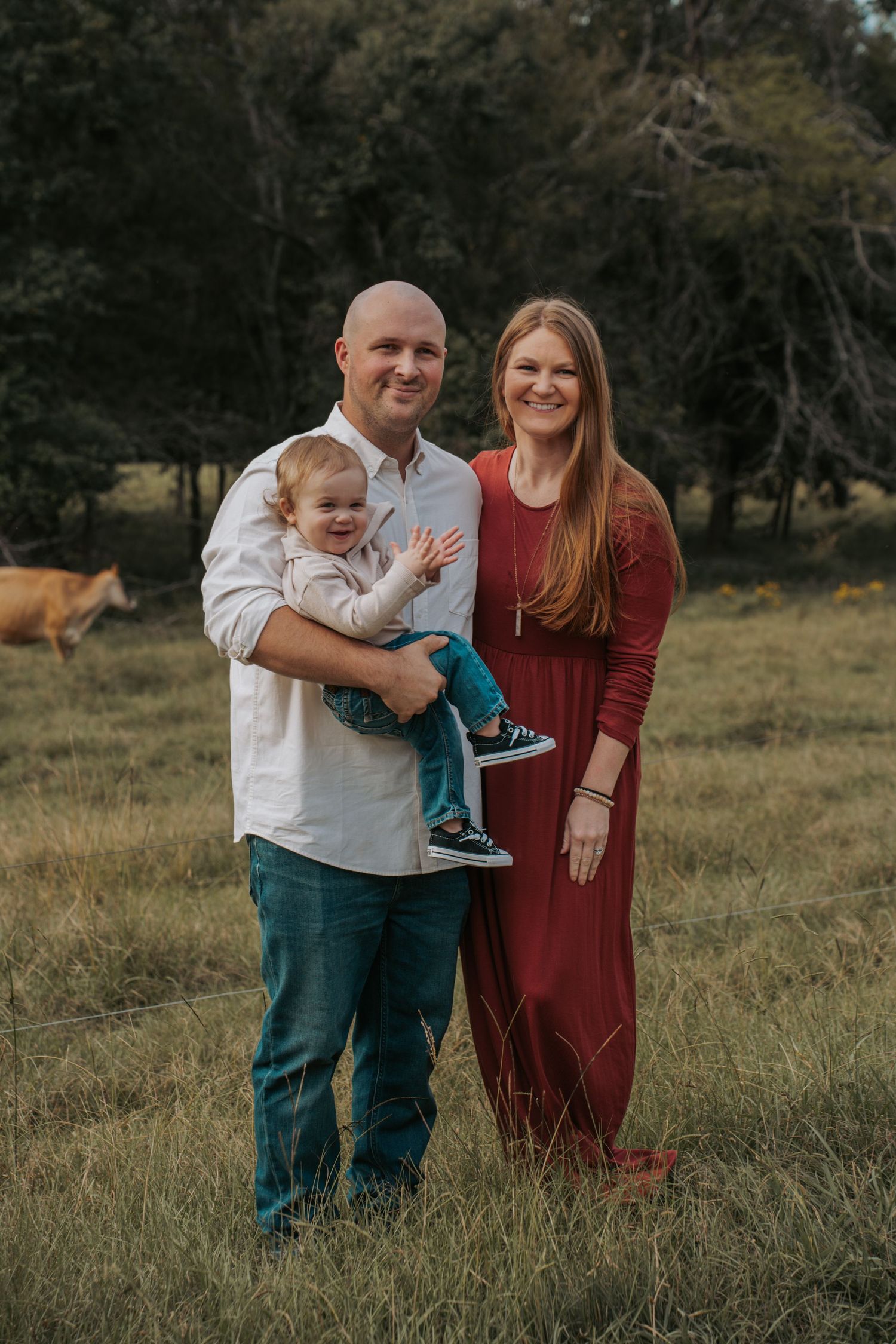 Family of three posing in a green field, man holding toddler, woman in red dress, with cattle grazing in background.