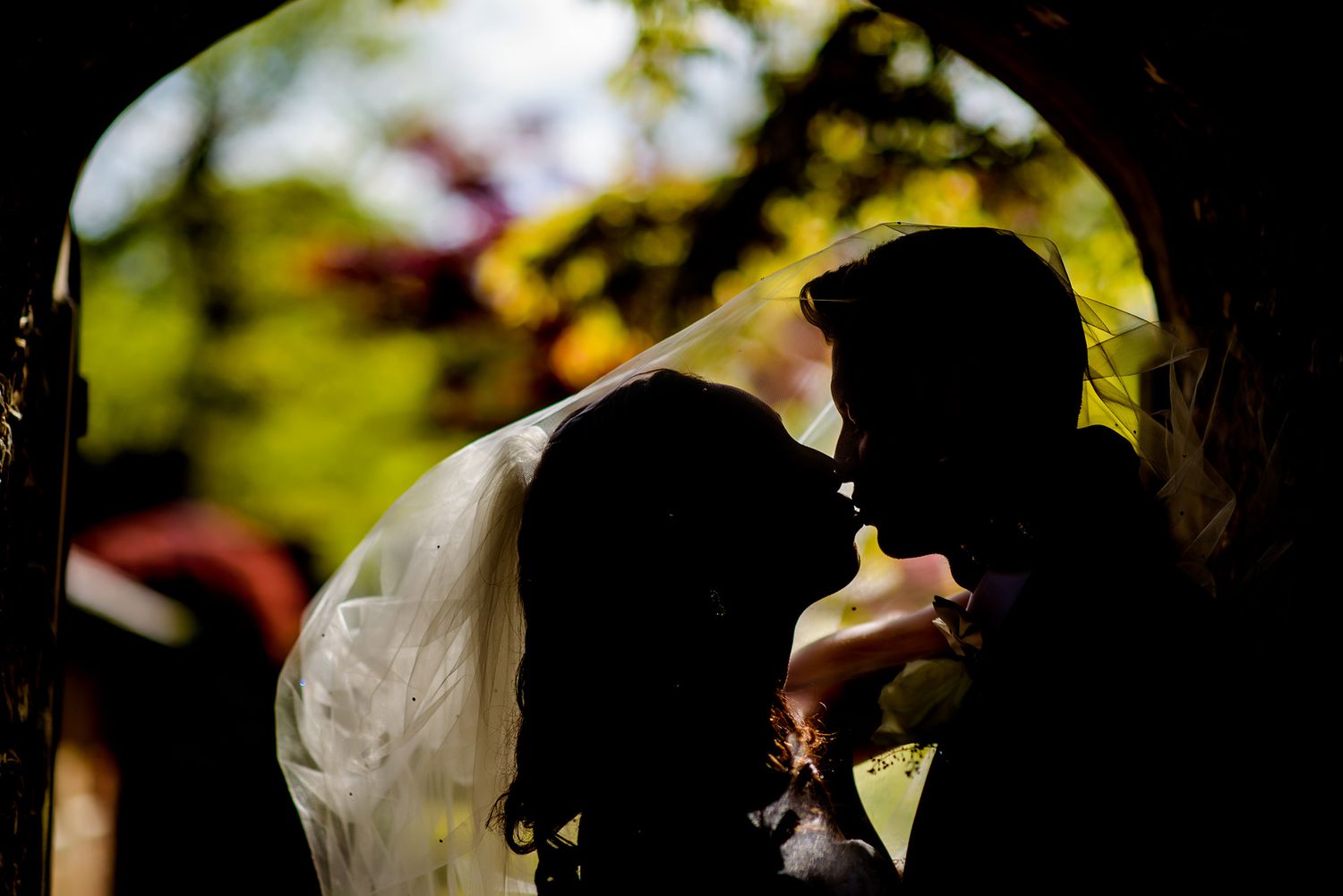 Artistic wedding photography through natural woodland lighting.