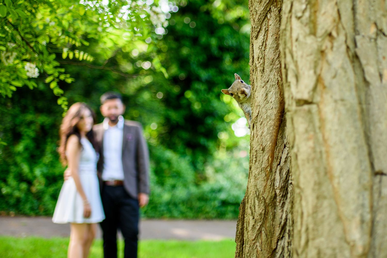 Natural garden setting with large tree trunk and lush greenery for wedding photos.