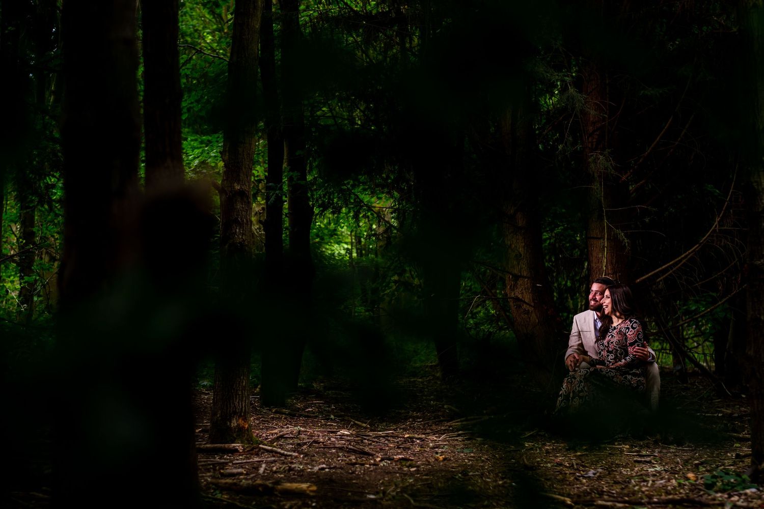 Moody forest scene with dark shadows and green foliage creating a mysterious atmosphere.