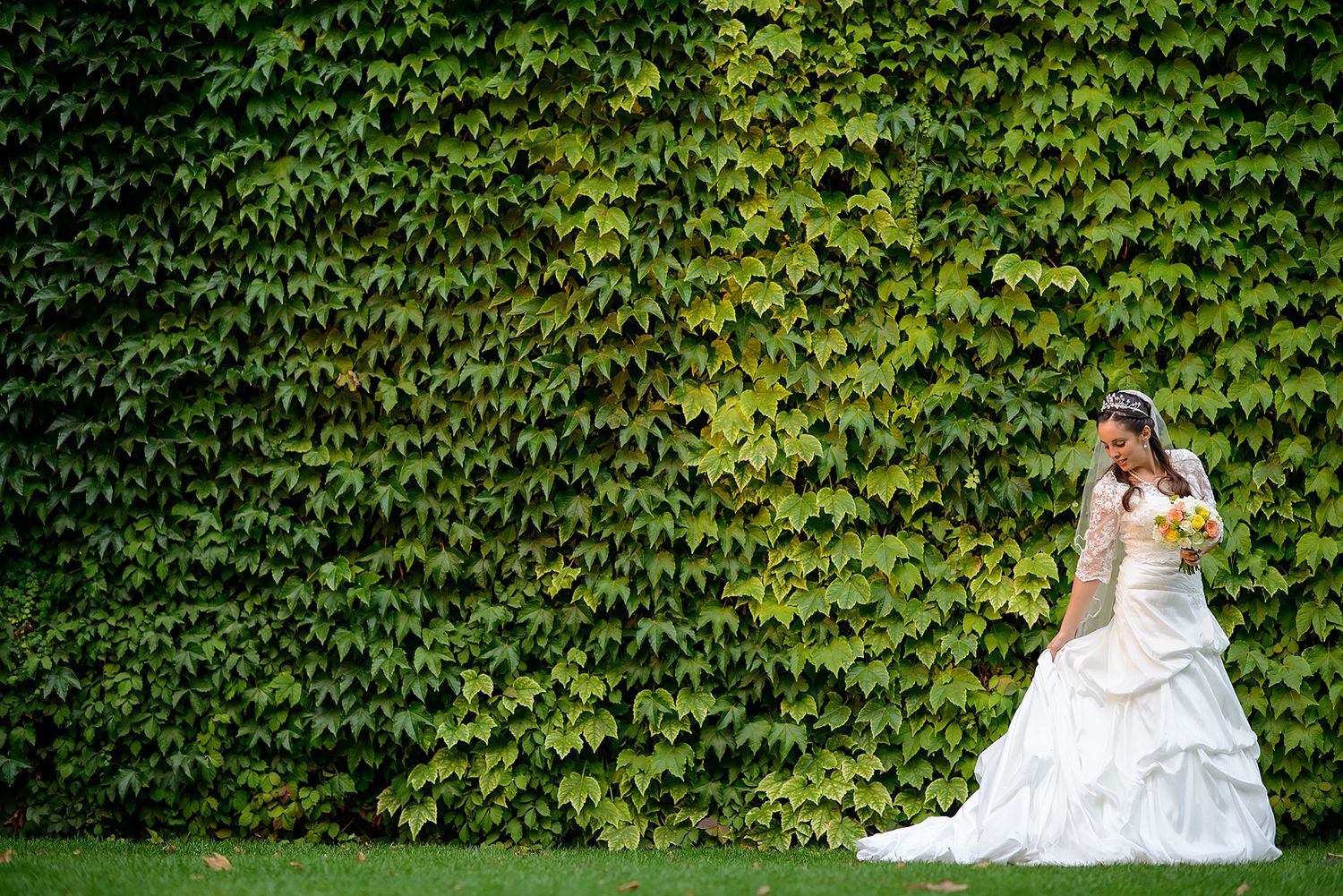 Romantic wedding photography session with ivy wall creating natural green backdrop.