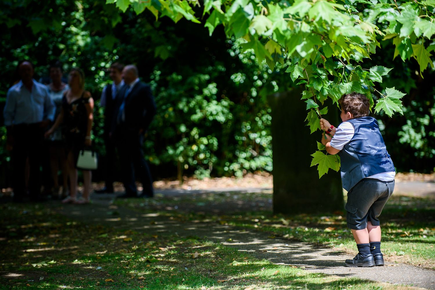 Green leafy trees create a natural archway over a garden path.