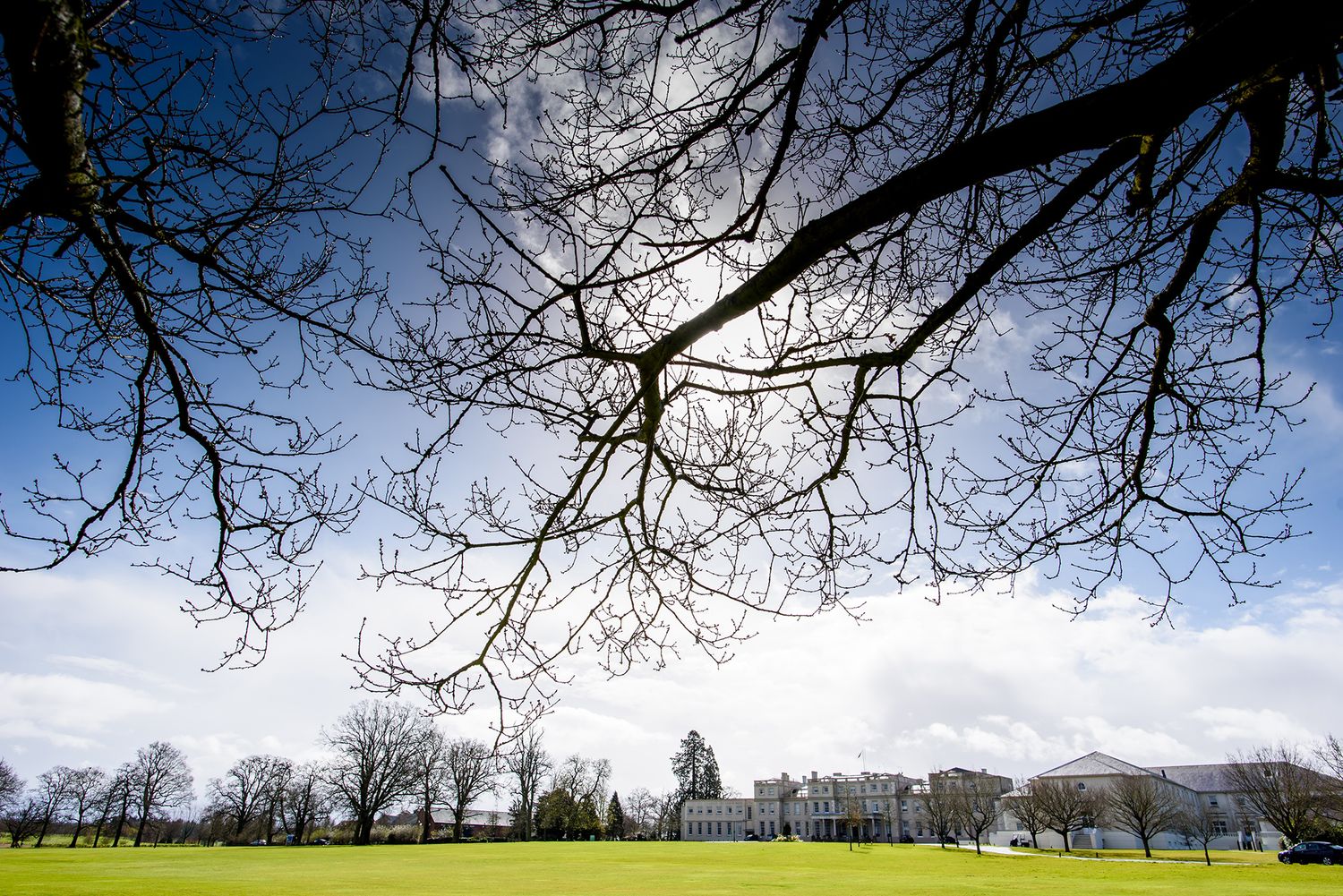 Scenic winter tree branches frame a dramatic cloudy sky.