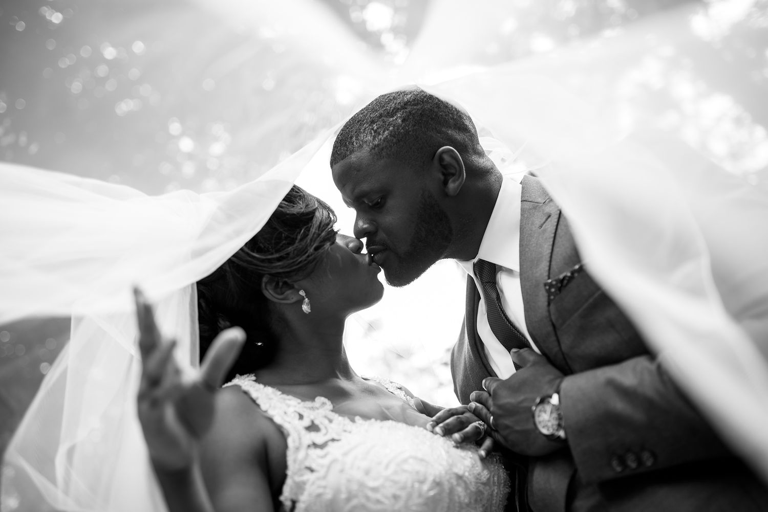 Intimate wedding couple moments captured under a delicate veil with natural lighting.