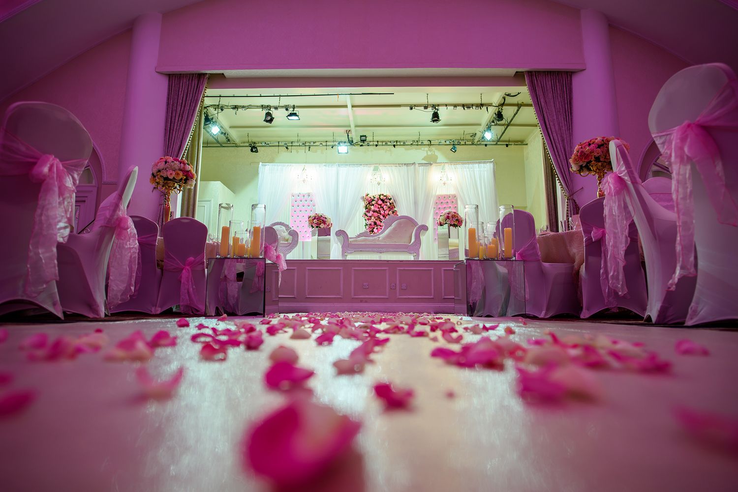 Rose petals scattered on floor of pink-illuminated wedding venue with white chair covers.