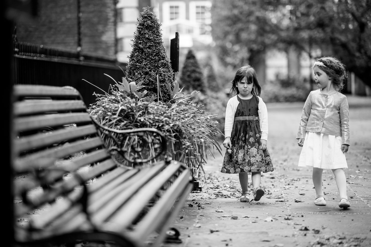 Black and white photo of park bench scene with natural outdoor elements.