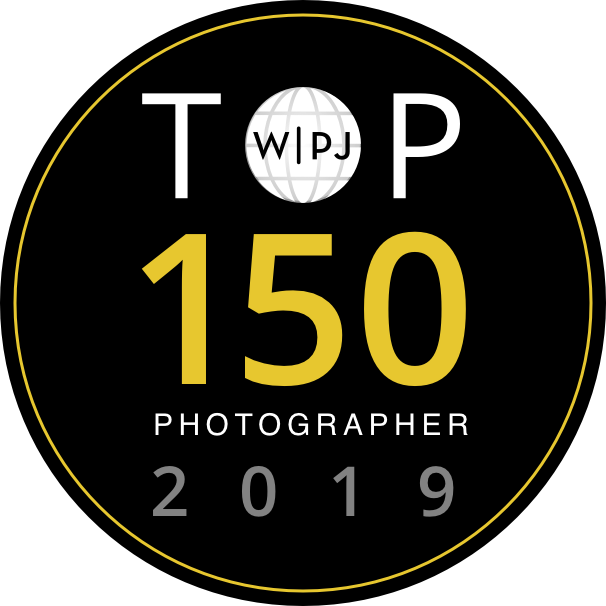 Collection of black and gold WPJA photographer award badges from 2019.