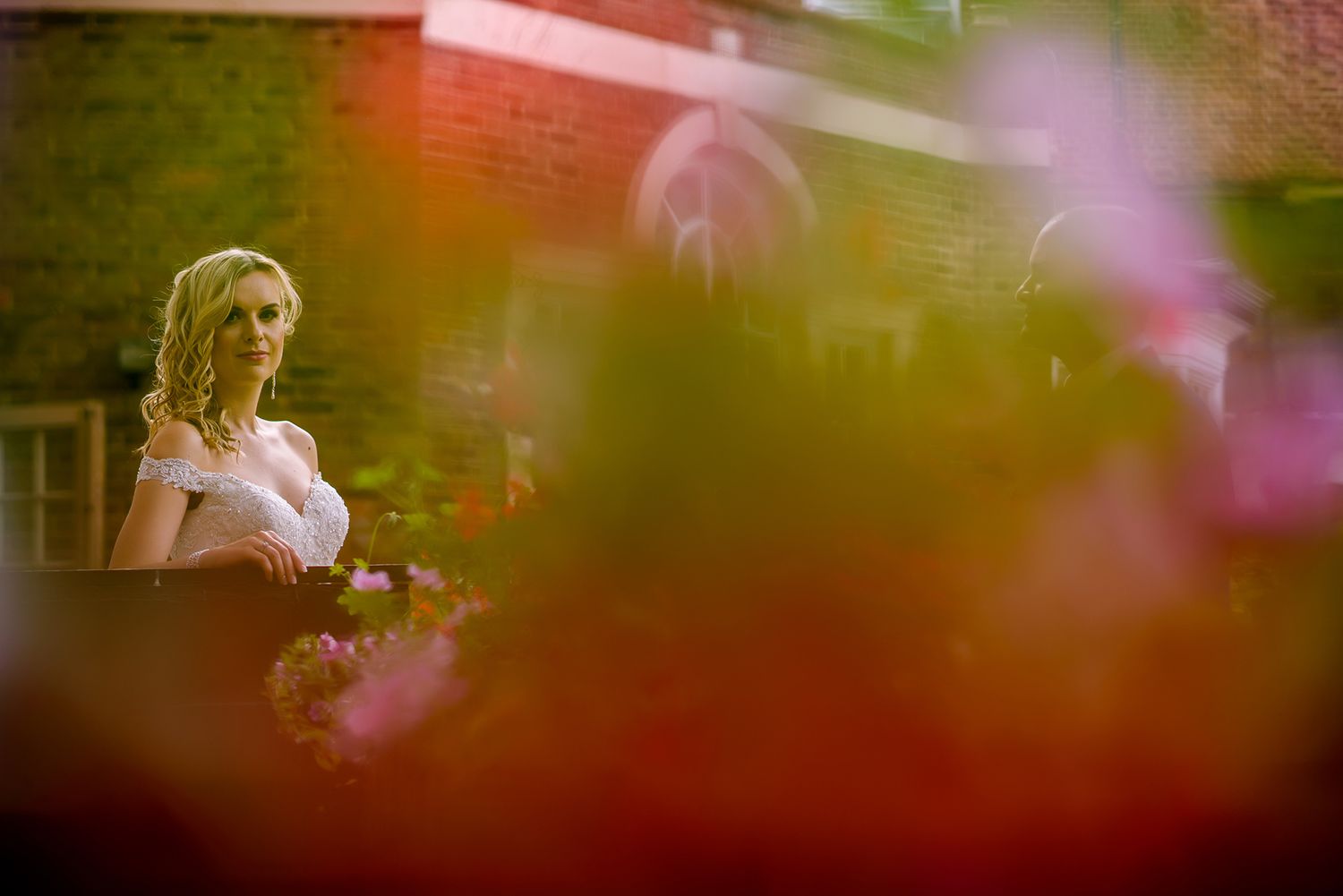 Artistic wedding photo taken through red flower petals creating a dreamy atmosphere.