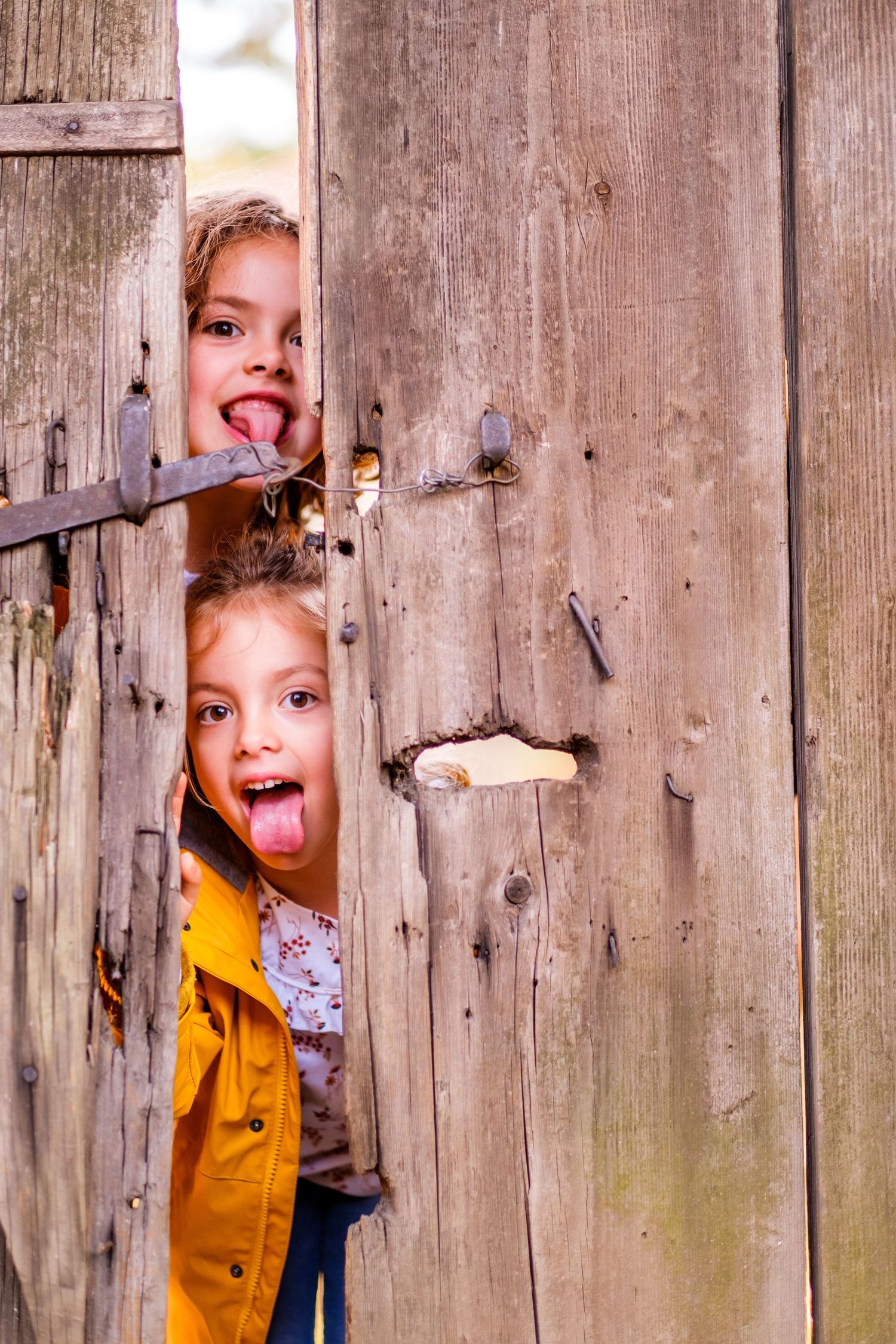 Playful peek through rustic wooden fence holes creating whimsical candid moments.