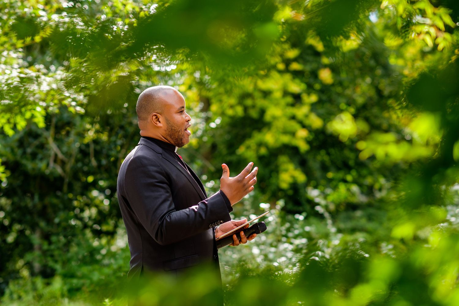 Lush green garden background with natural sunlight filtering through the leaves.
