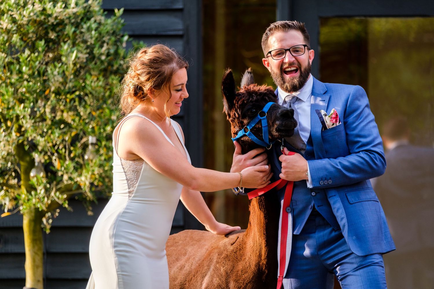 Couple shares joyful moment with their dog during outdoor wedding photos.