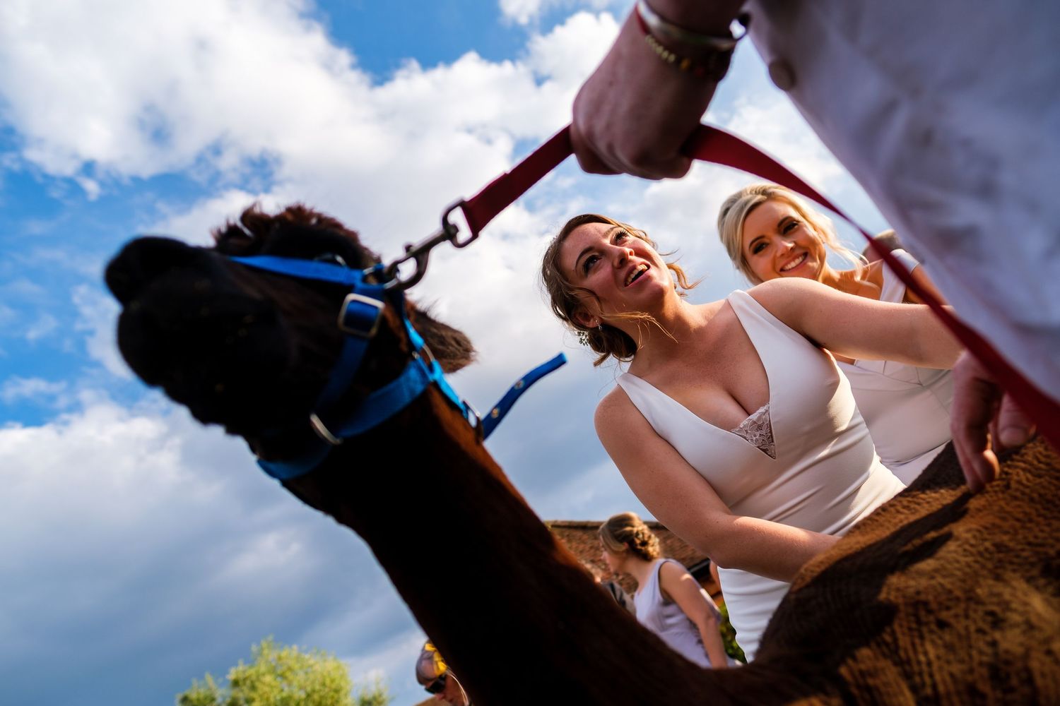 Playful outdoor wedding photos against a blue sky with white clouds.