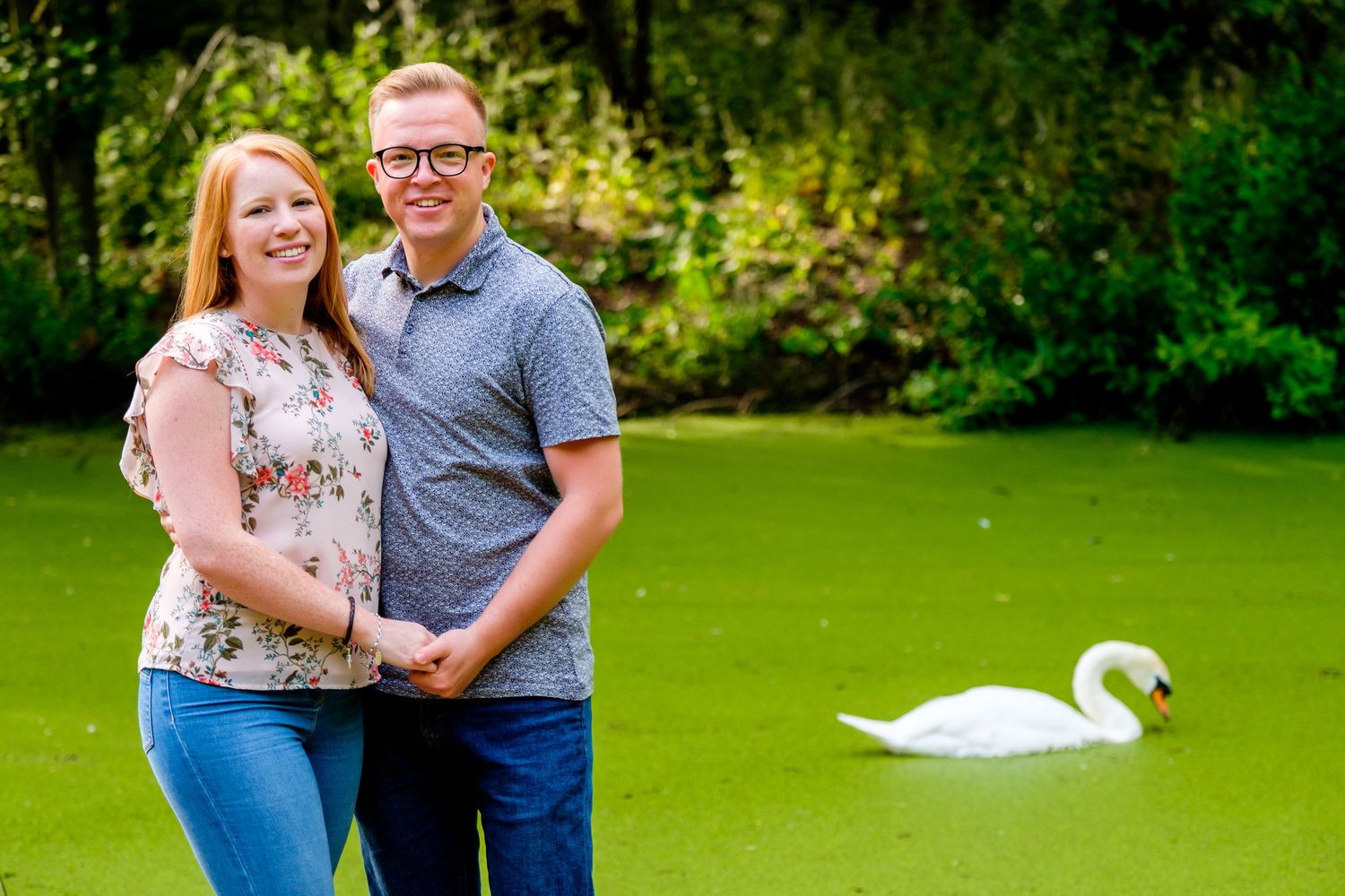Natural outdoor park setting with a white swan visible in a pond among green surroundings.