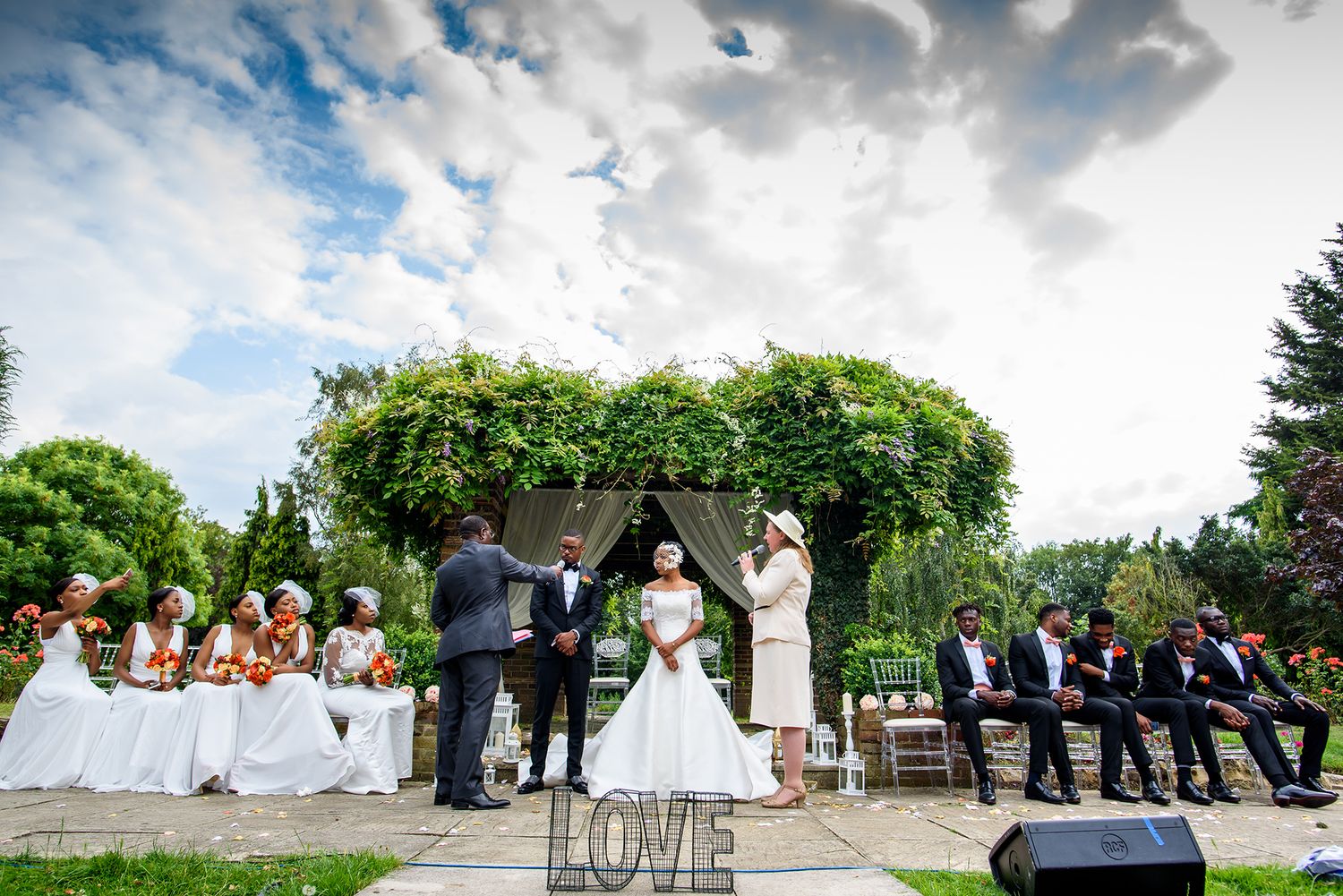 Wedding party lined up outdoors against a dramatic cloudy sky background.