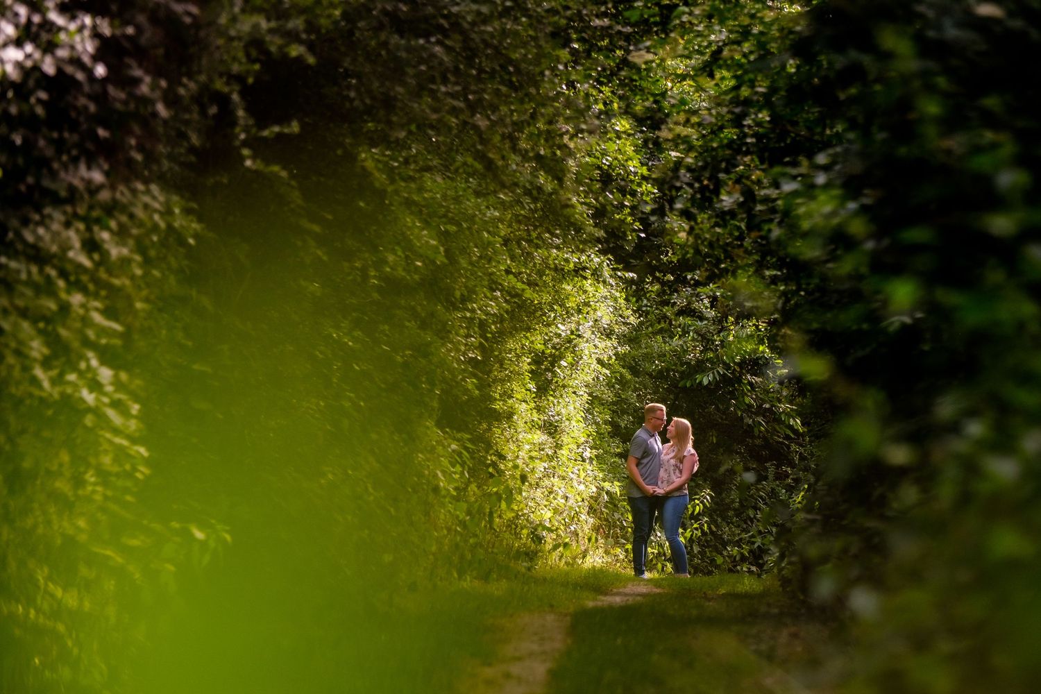 Sunlit garden path with trees and foliage creating a romantic outdoor setting.