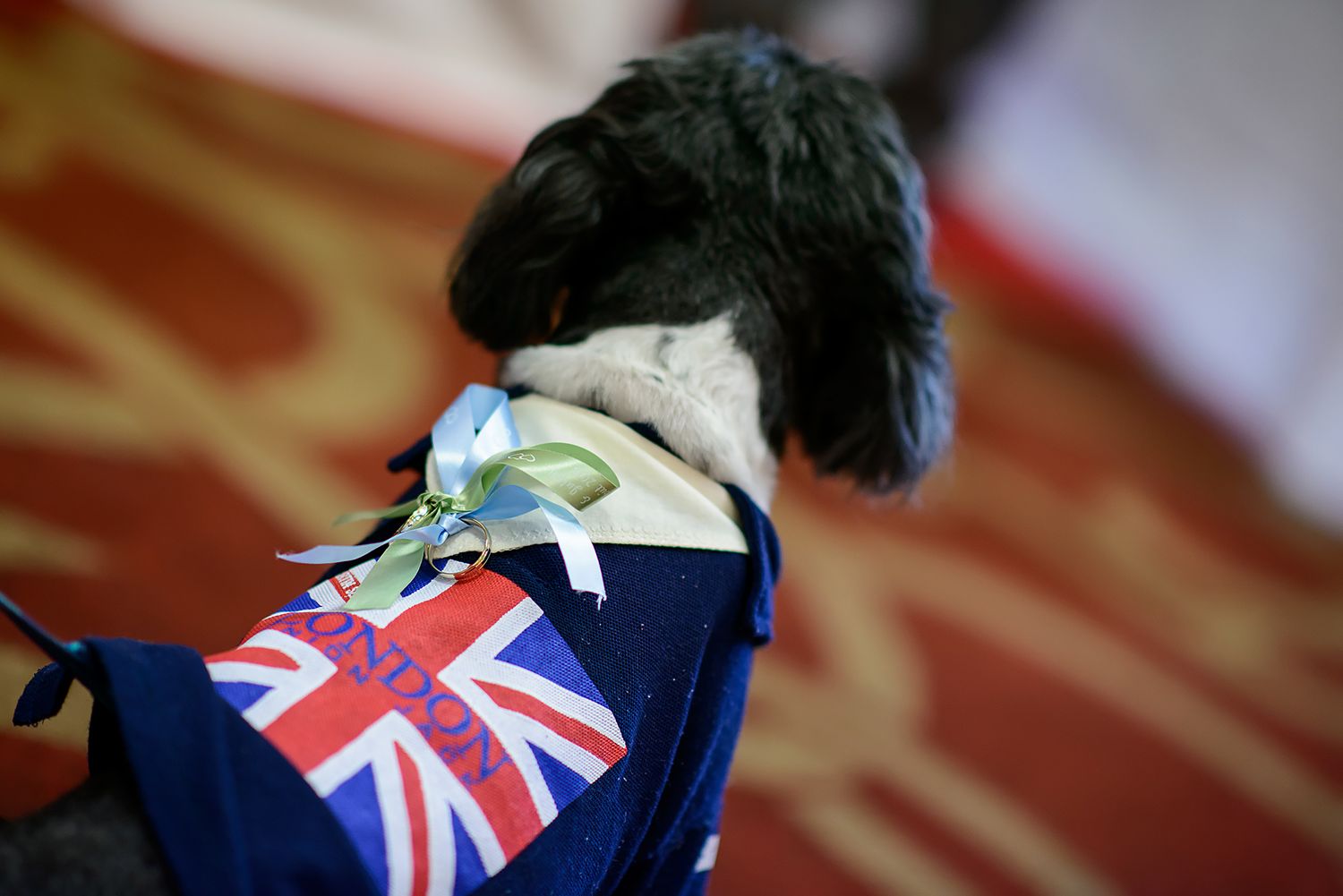 A dog wearing a Union Jack flag outfit at formal event.