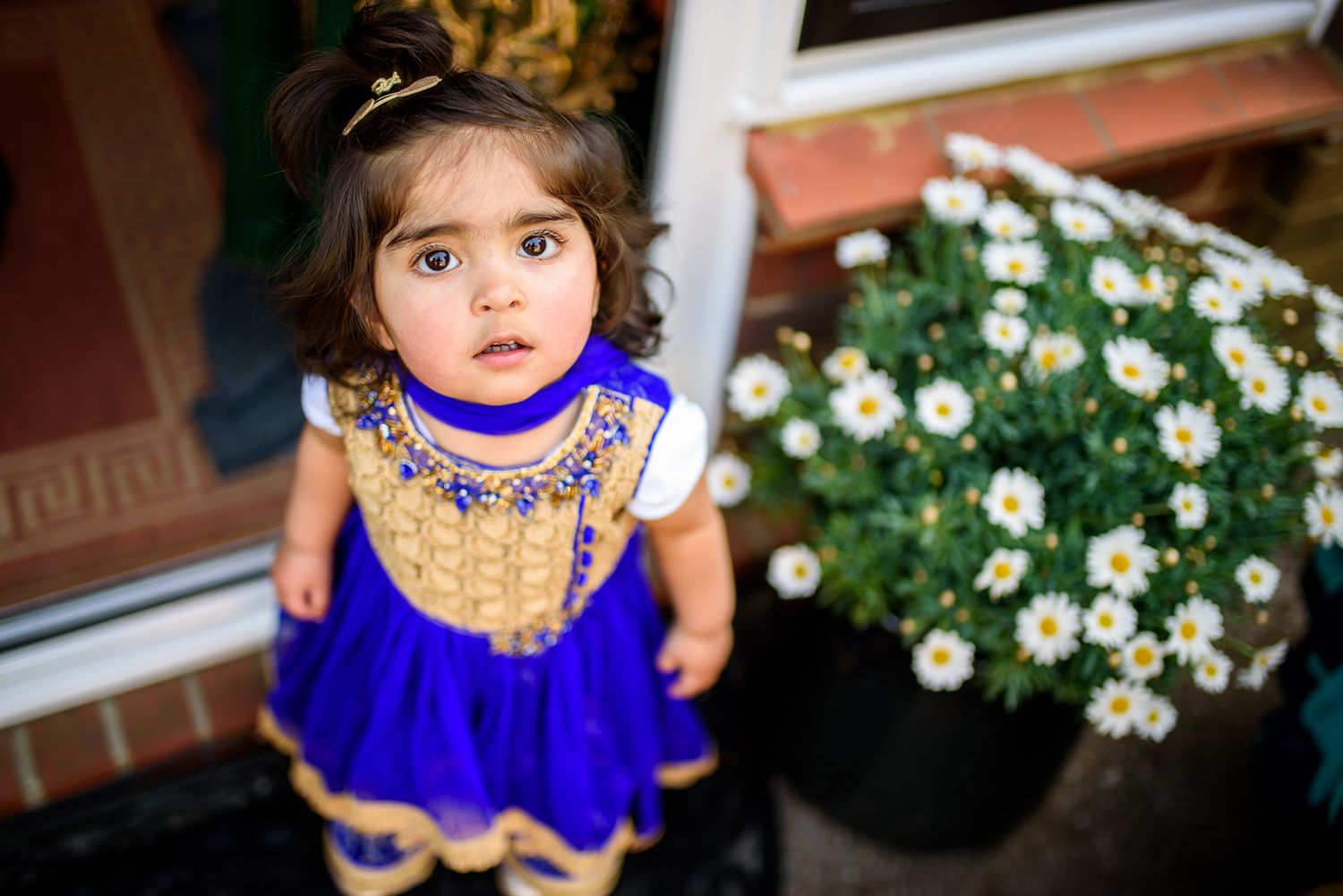 Young child wearing an ornate blue and gold Indian dress stands near white flowers outdoors.