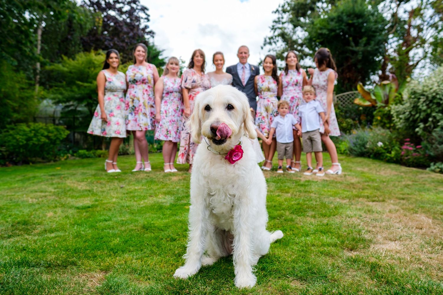 Wedding party in floral dresses poses on grass with a fluffy white dog.