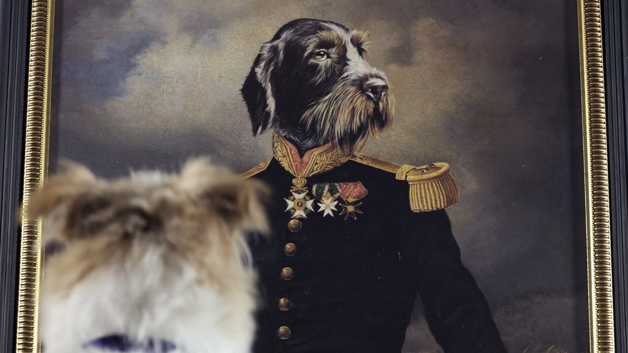 Series of vintage-style portrait paintings in ornate gold frames against dark background.