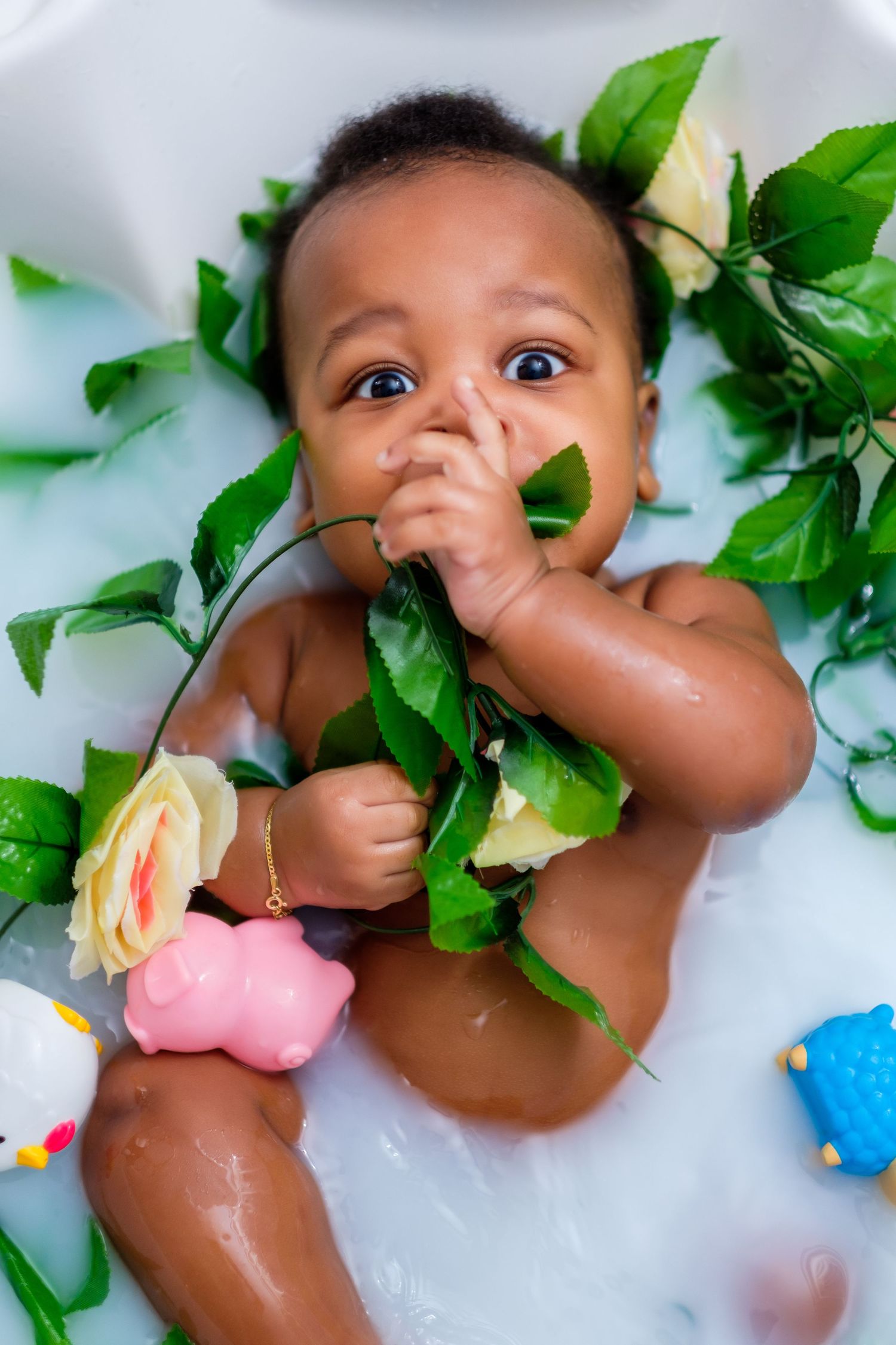 A creative infant bath photoshoot with green leaves and colorful bath toys on white background.