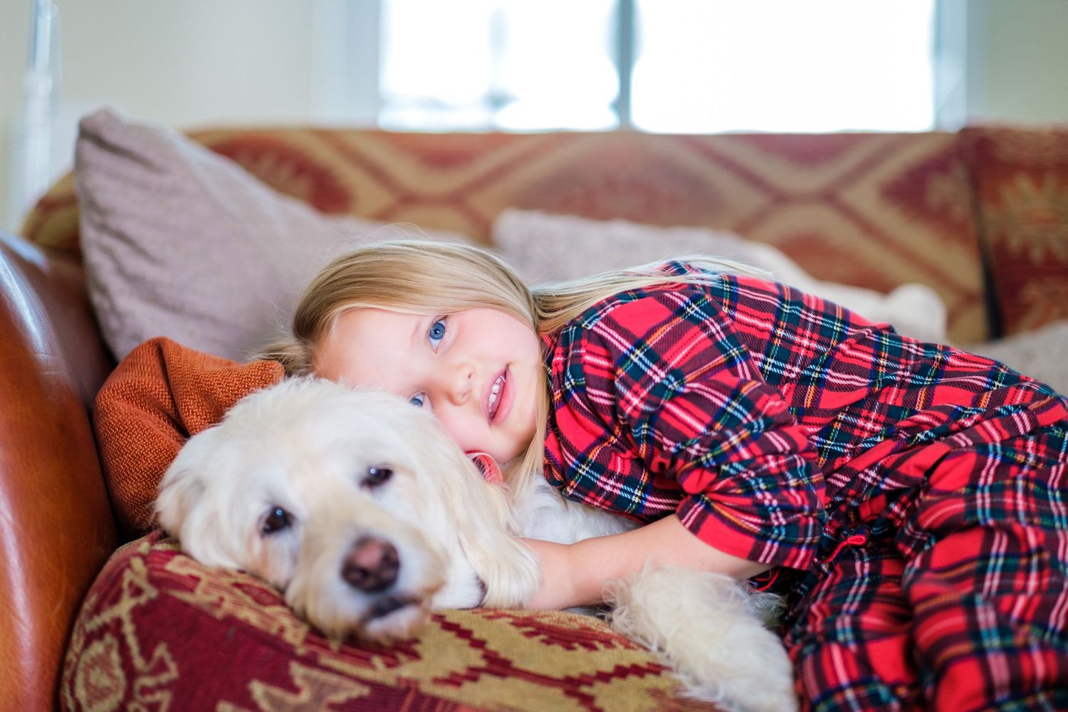A white dog and someone in a red plaid shirt relax together on a couch.