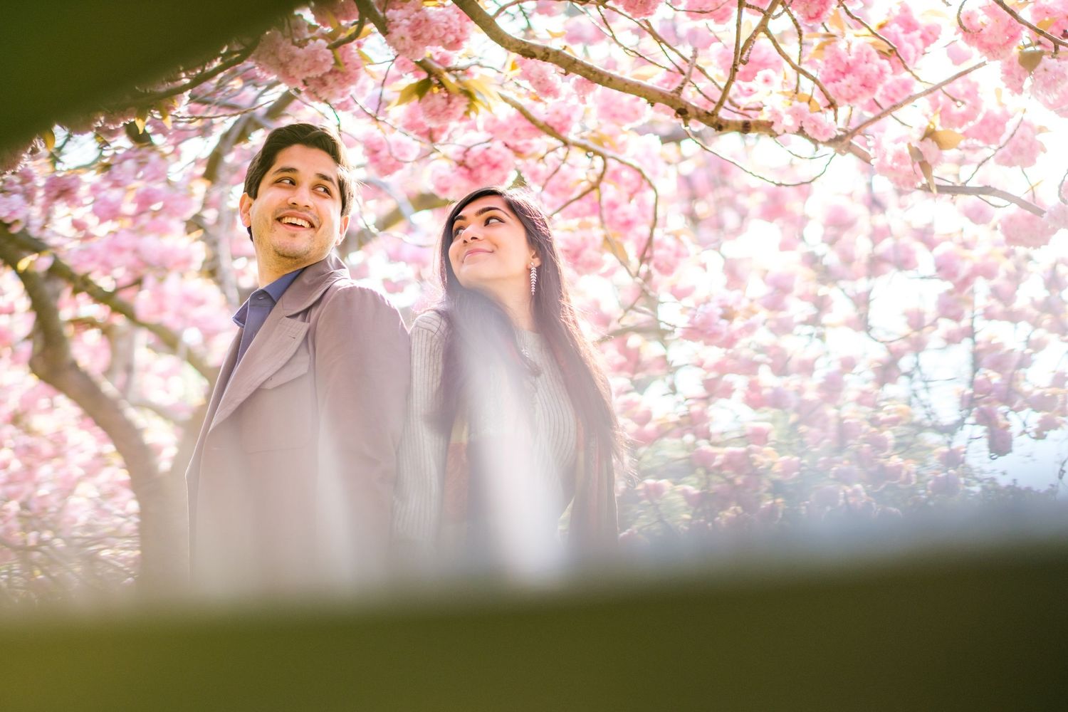 Cherry blossom branches frame a romantic scene with soft pink petals against a bright sky.