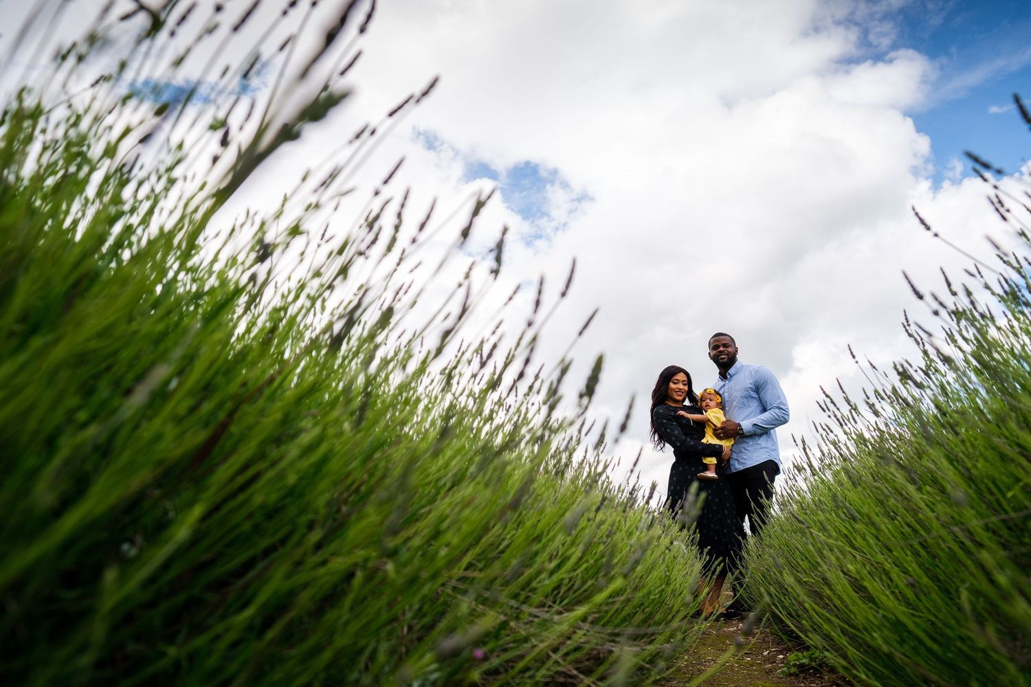 Low angle view through tall grass stalks against cloudy blue sky creating dramatic perspective.