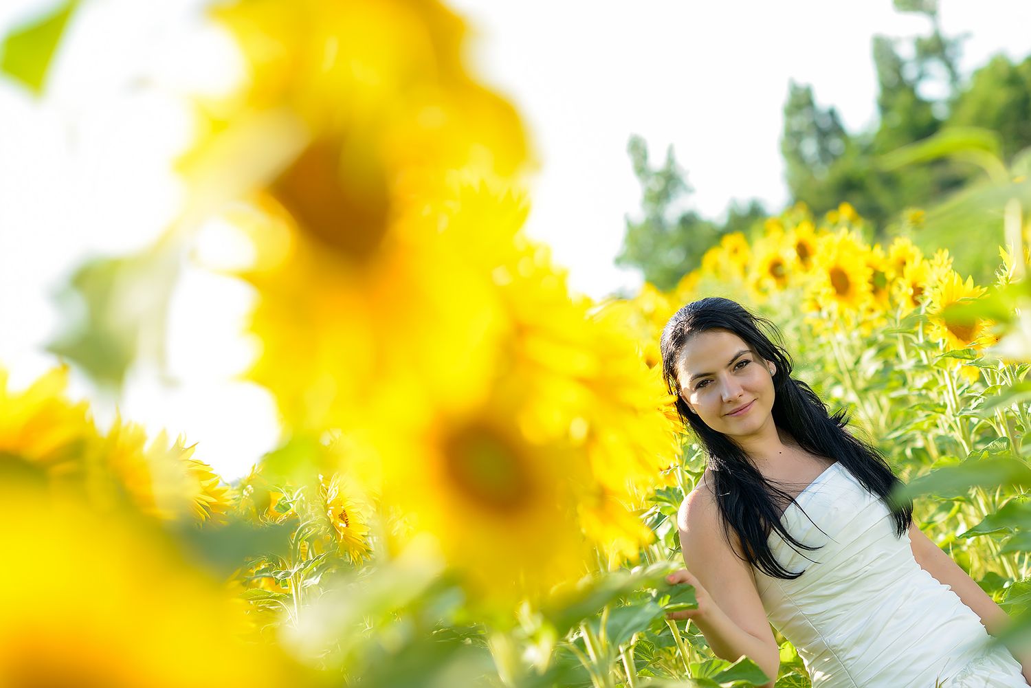 Wedding portraits in vibrant sunflower field with bright yellow blooms.
