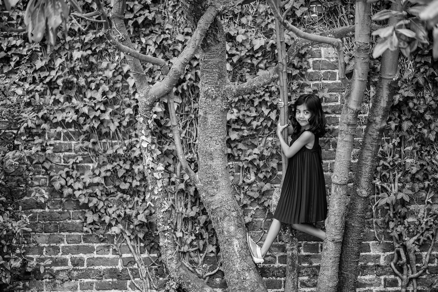 A black and white film photo of brick walls with climbing vines creating a rustic garden atmosphere.