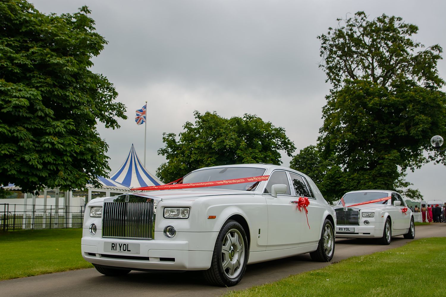 Line of elegant white luxury vehicles including Rolls Royce cars parked on green grass.